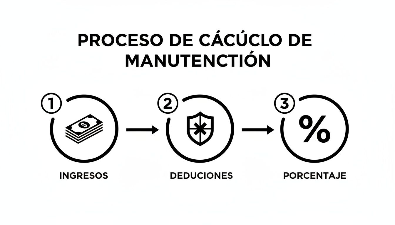 Diagrama que ilustra el proceso de cálculo de manutención, mostrando los pasos de ingresos, deducciones y porcentaje.