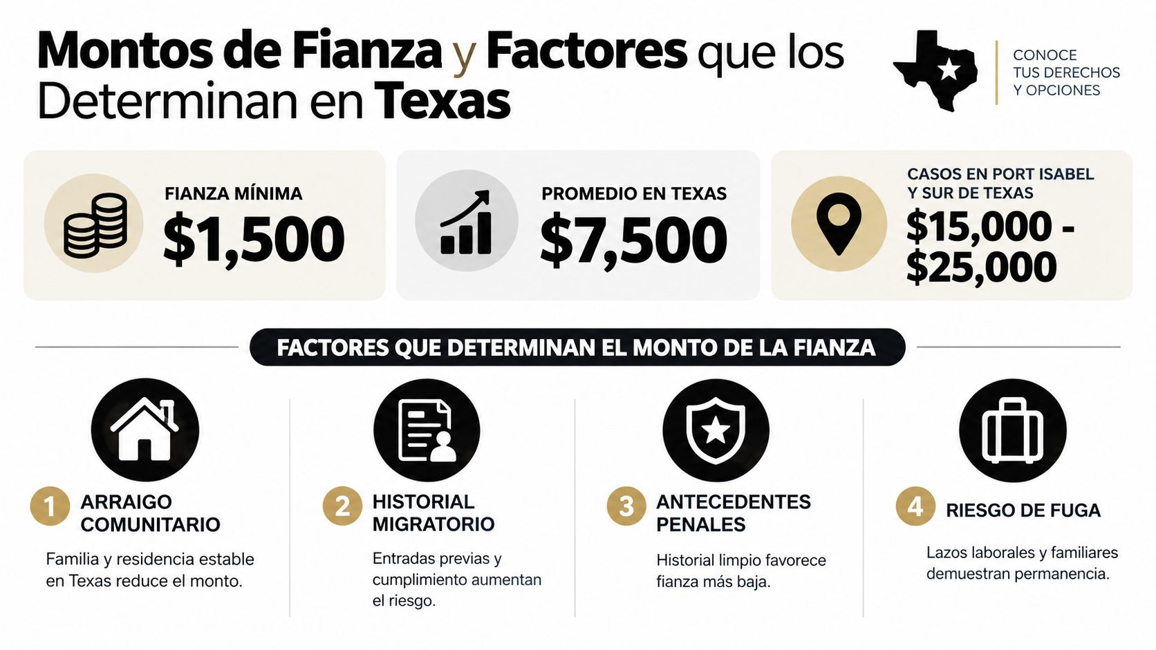 Infografía sobre los montos de fianza de inmigración en Texas y los factores que los determinan.