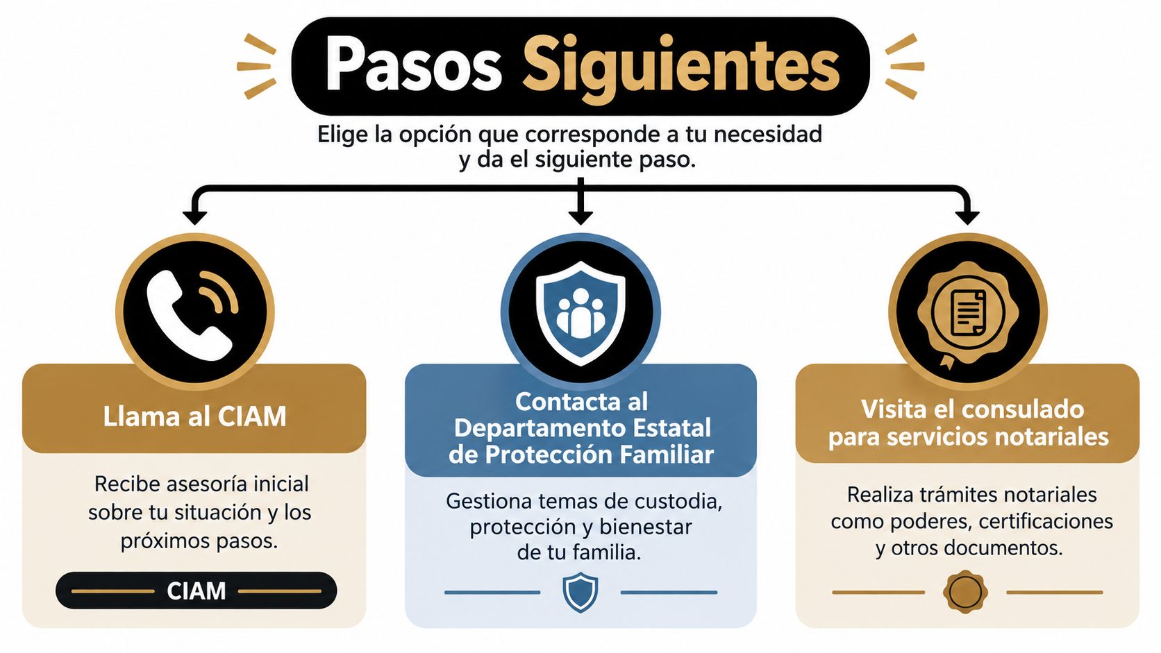 Infografía sobre pasos a seguir para asistencia legal familiar en consulados y departamentos estatales de protección.